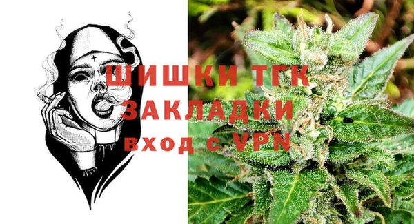дживик Вязьма
