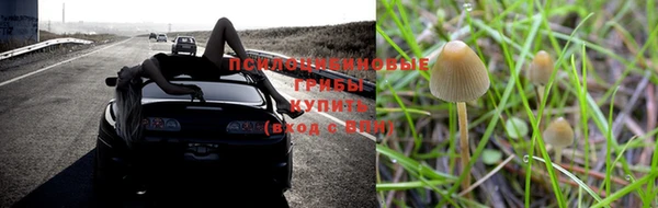 мдпв Вязники