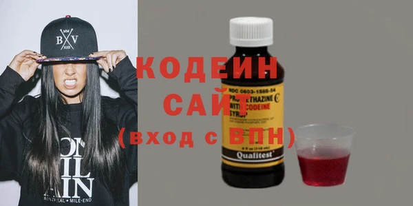 ГАЛЛЮЦИНОГЕННЫЕ ГРИБЫ Вяземский