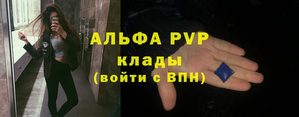 дживик Вязьма