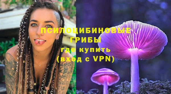 мдпв Вязники