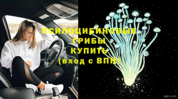 дживик Вязьма