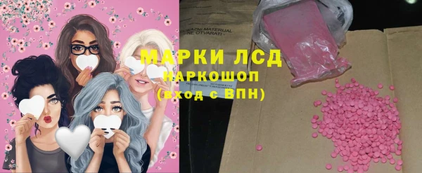 ГАЛЛЮЦИНОГЕННЫЕ ГРИБЫ Вяземский