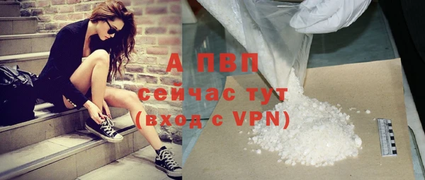 дживик Вязьма